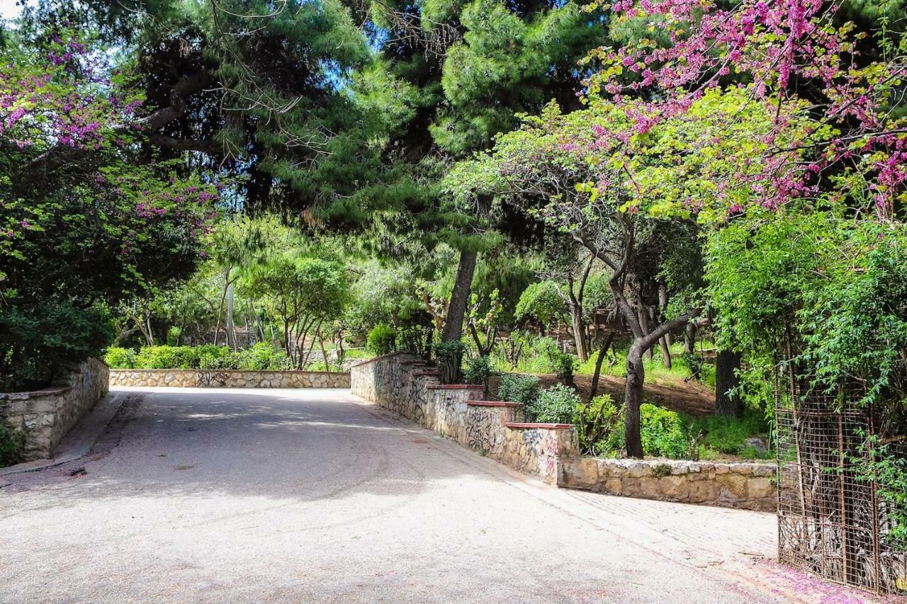 Charming Apartment Near Panathenaic Stadium Exterior foto